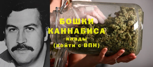 эйфоретик Белокуриха